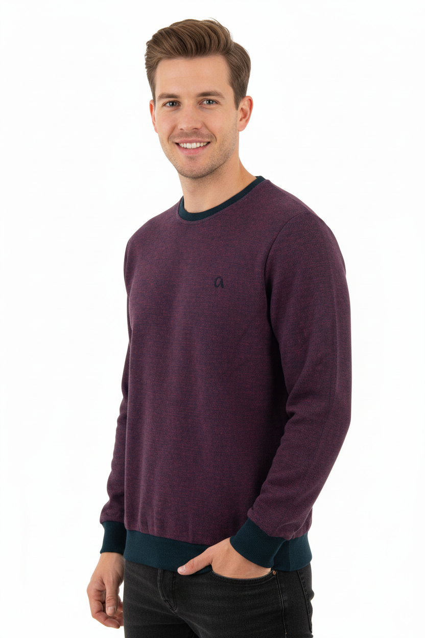 Erkek Kışlık Düğmeli Bisiklet Yaka Armalı Uzun Kollu Kırçıllı Şardonlu Pamuklu Dokuma Kazak