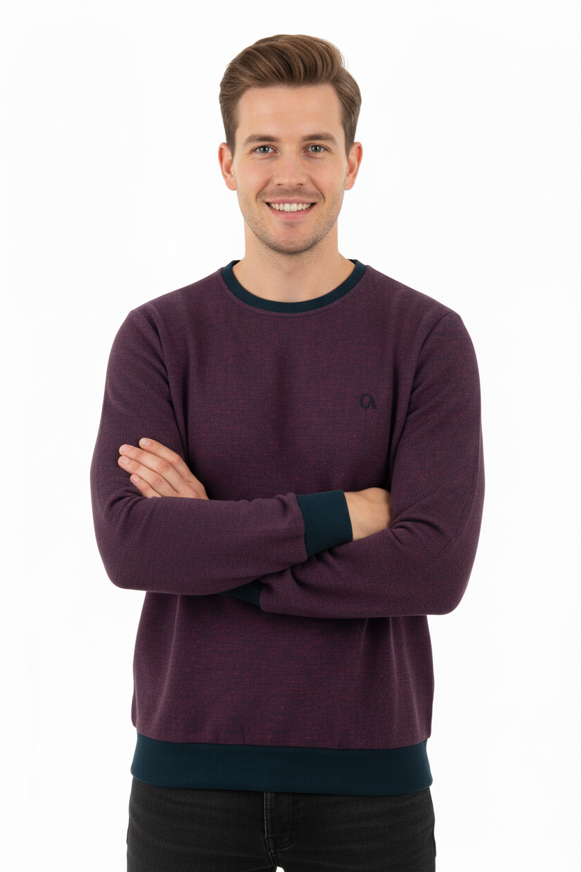 Erkek Kışlık Düğmeli Bisiklet Yaka Armalı Uzun Kollu Kırçıllı Şardonlu Pamuklu Dokuma Kazak